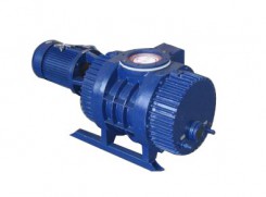 ZJP Roots vacuum pump